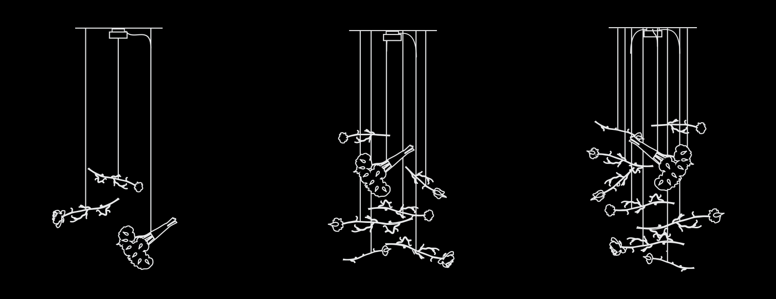 La Vie En Rose Composition