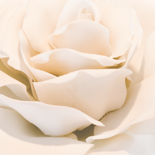 BvE_Finish_stone-nymphenburg Rose